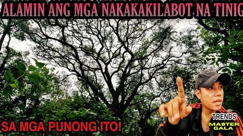 pinay iniyot sa gubat|sa gubat na naman ako dinala ni samuel dahil walang budget.